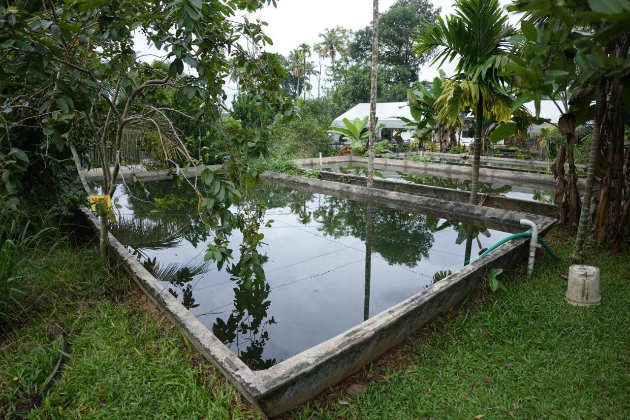 Carmel Tourism Village Kotamangalam Eksteriør billede