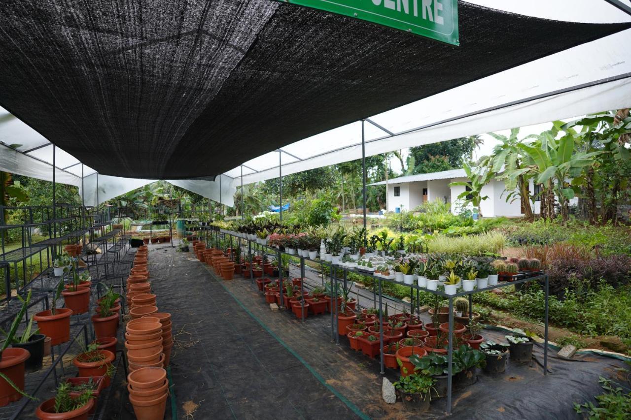 Carmel Tourism Village Kotamangalam Eksteriør billede